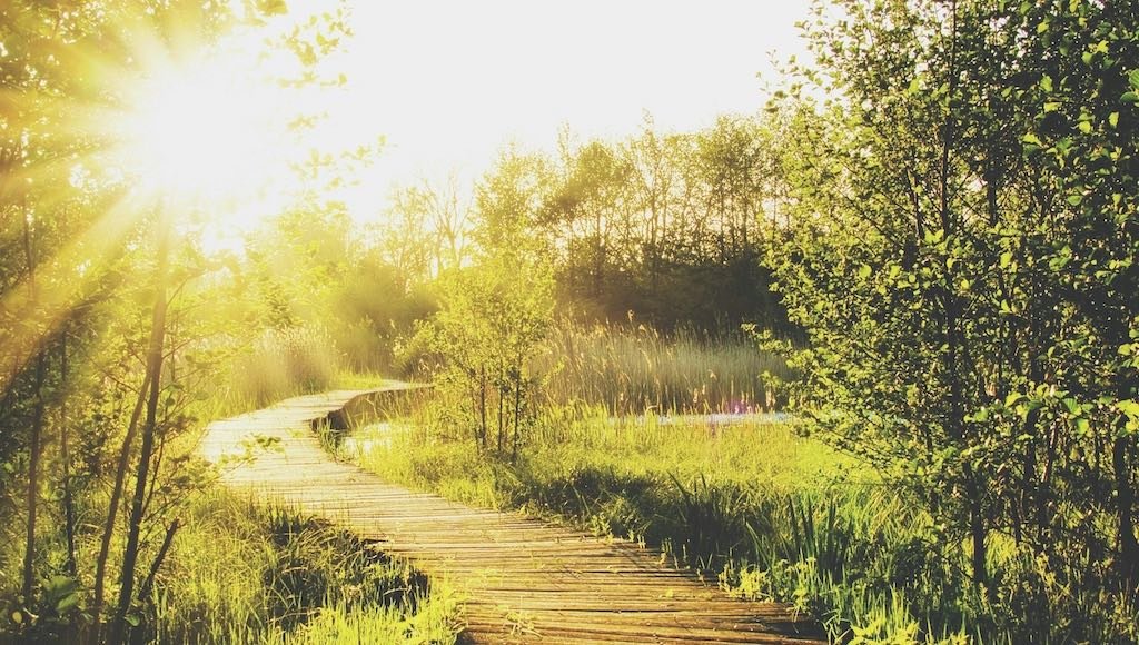 I'm not just your celebrant - I'm your guide